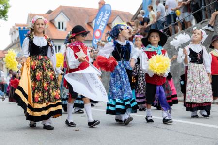 Povorka ob dnevih narodnih noš in oblačilne dedščine (121)